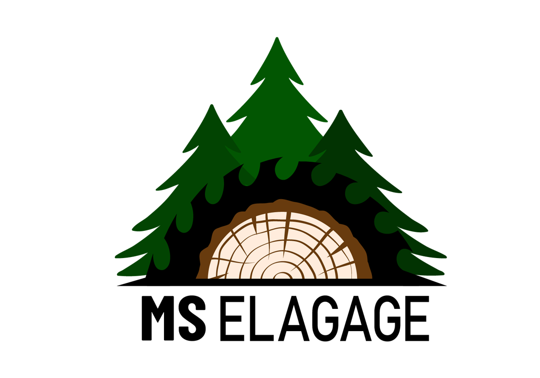 Logótipo MS Elagage
